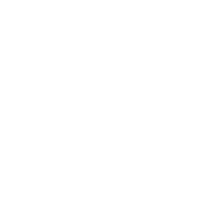 Mobile Remote Station