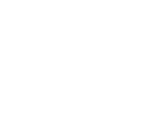 Crowd Detection